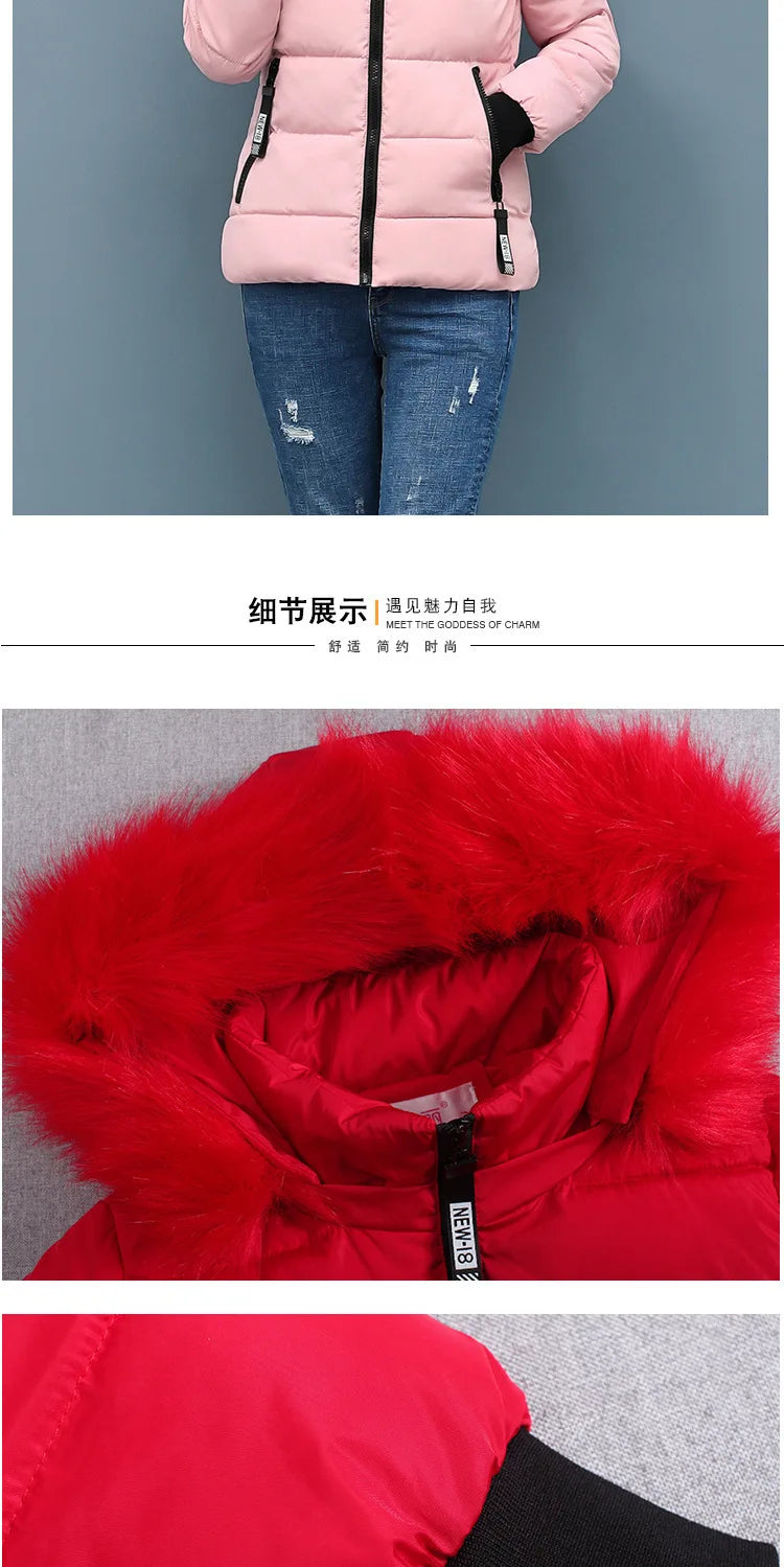 Solid Color Detachable Hooded Hair Collar Slim-fit Cotton-padded Jacket, Women's Winter New Warm Casual Stand Collar Padded Coat