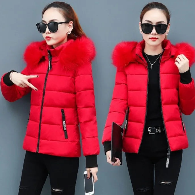 Solid Color Detachable Hooded Hair Collar Slim-fit Cotton-padded Jacket, Women's Winter New Warm Casual Stand Collar Padded Coat