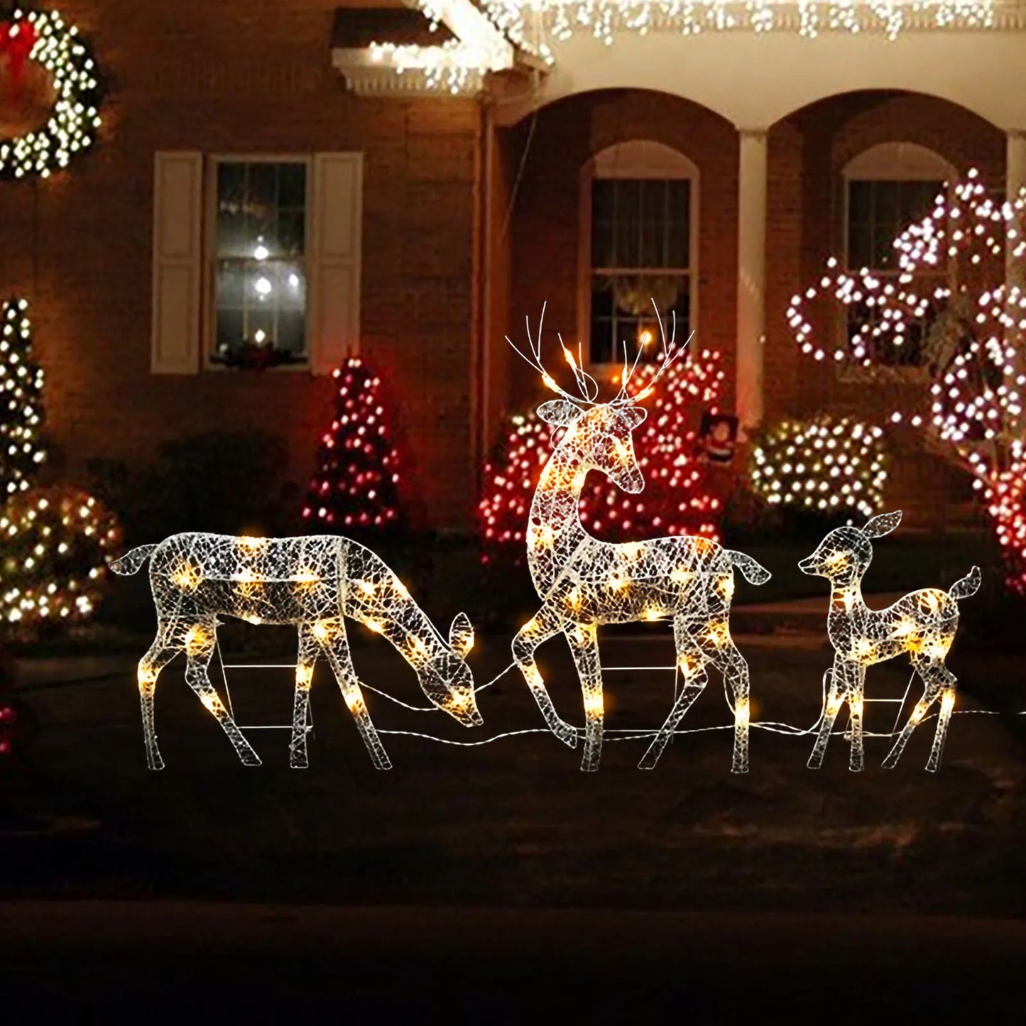 3Pc Lighted Deer Reindeer Family Lighted Deer Christmas Decor With Led Lights Light Up Bucks Doe And Fawn Indoor Or Outdoor Yard