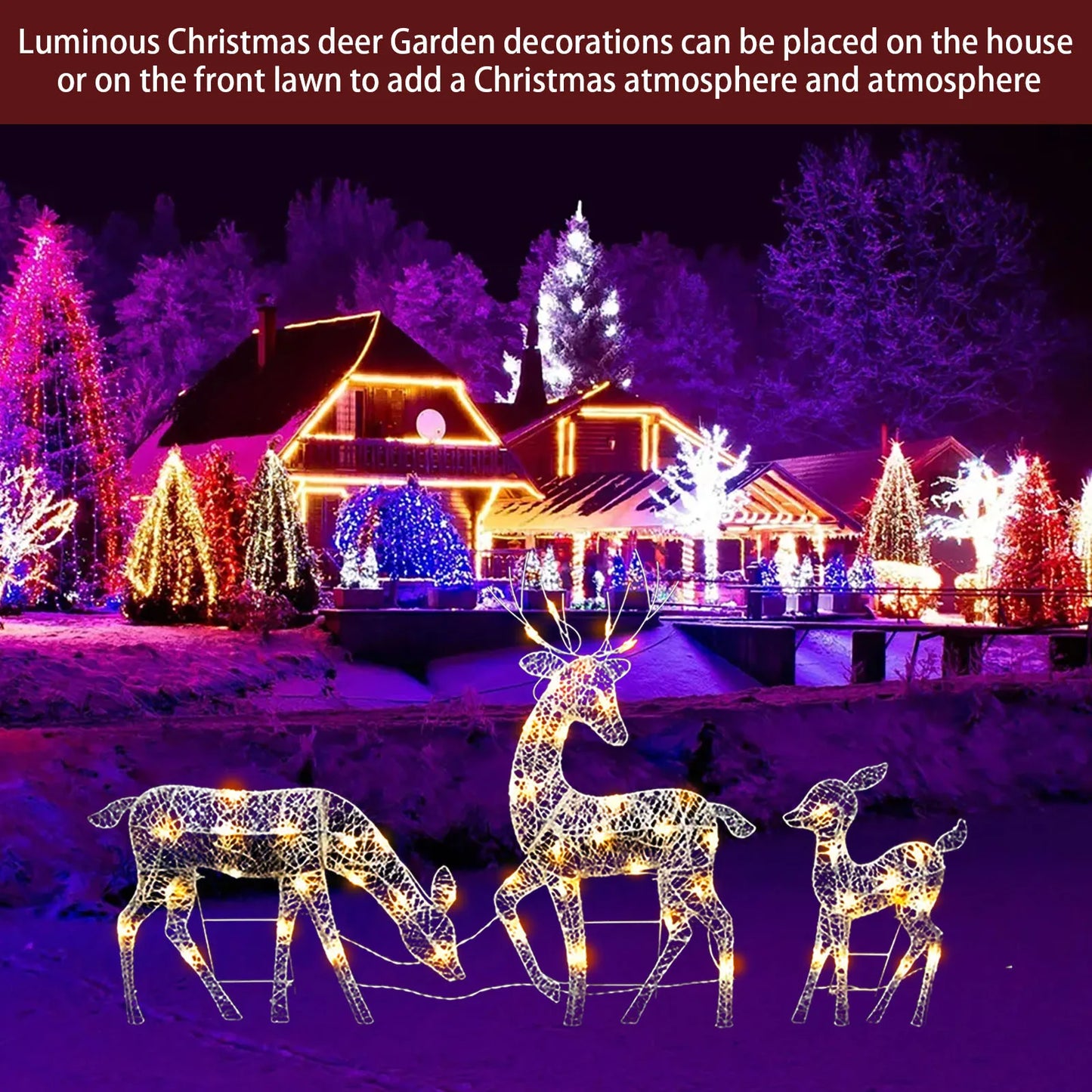 3Pc Lighted Deer Reindeer Family Lighted Deer Christmas Decor With Led Lights Light Up Bucks Doe And Fawn Indoor Or Outdoor Yard