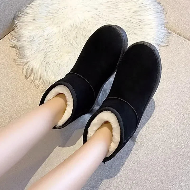 Fashion Winter Brown Short Boots New Platform Shoes Push Size Ankle Boots for Women Waterproof and Warm Snow Boots