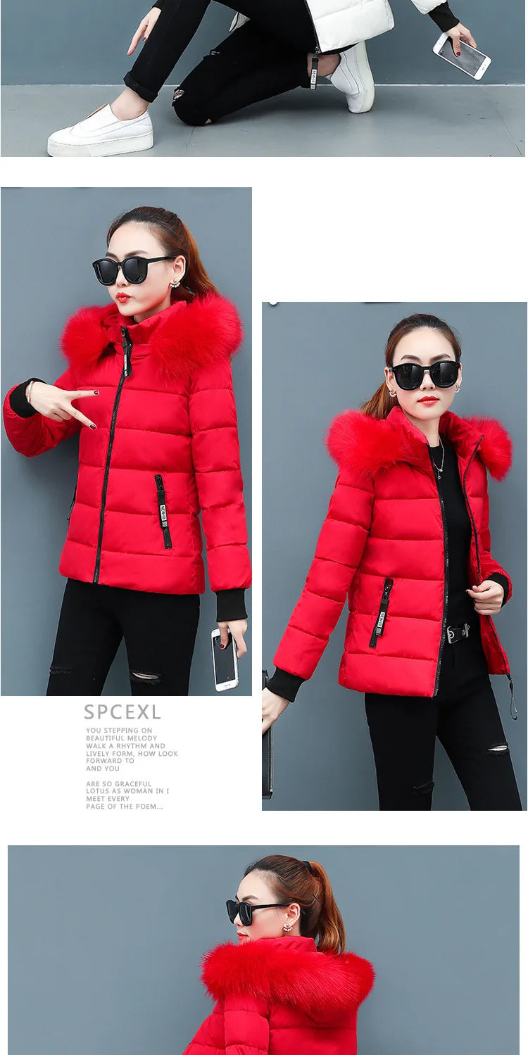 Solid Color Detachable Hooded Hair Collar Slim-fit Cotton-padded Jacket, Women's Winter New Warm Casual Stand Collar Padded Coat
