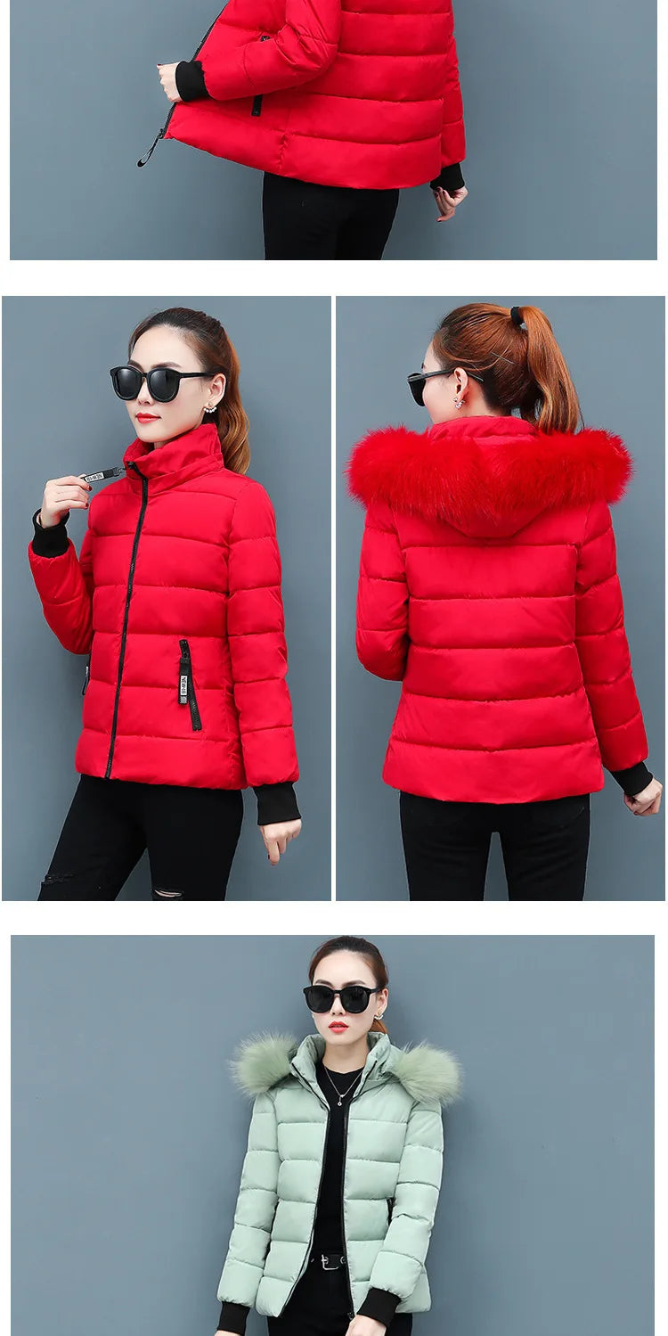 Solid Color Detachable Hooded Hair Collar Slim-fit Cotton-padded Jacket, Women's Winter New Warm Casual Stand Collar Padded Coat